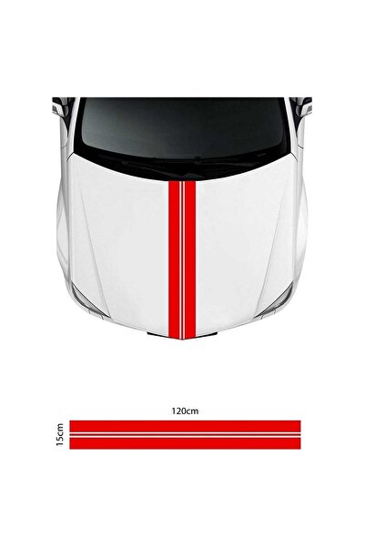 BİLGİMOLA نموذج ملصق لاصق مخطط ملون للغطاء الأمامي