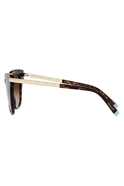 Tiffany Woman Cat Eye Sunglasses- Tf 4182 - Lense Size:55mm - Havana