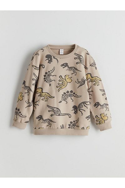 LC Waikiki LCW Παιδική ανδρική μπλούζα και φούτερ - Crew Neck, Σετ 2