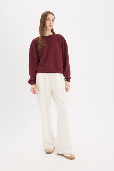 DeFacto Dickes, einfaches Basic-Sweatshirt mit normaler Passform und Rundhalsausschnitt D6645ax25sp