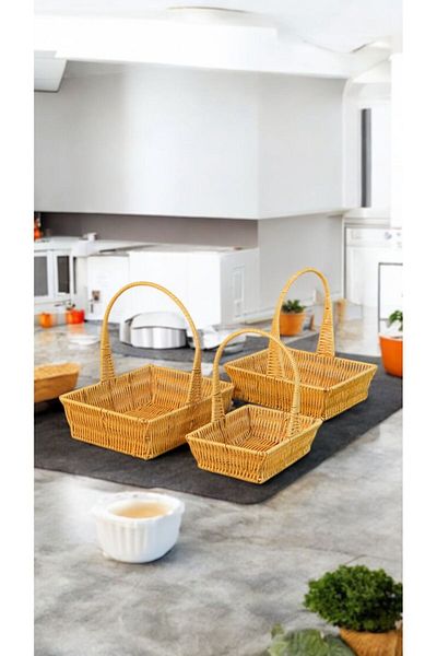Bayev 20X24X27 cm Rectangular 3-Piece Hanging Basket Set - 700700