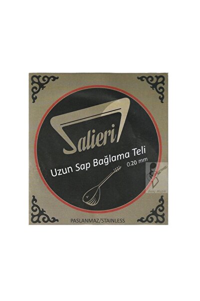 Salieri 0.20 mm Stainless Tool Wire - Long Handle Binding Wire 020