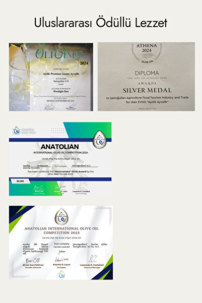 Ayolis Premium Gurme Ayvalık 500 ml Ödüllü Erken Hasat Soğuk Sıkım Natürel Sızma Zeytinyağı