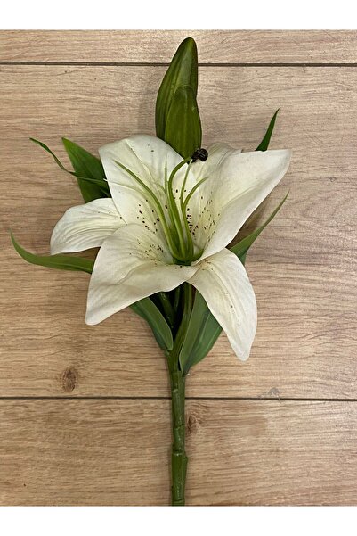 Dekordan House Artificial 1St Quality Mini Lilyum (35cm)