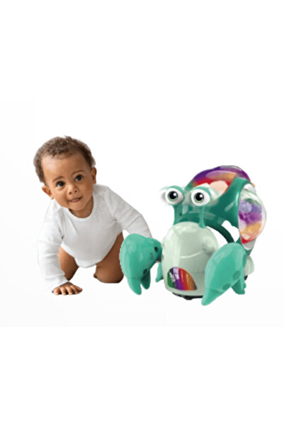 Boratila Toys IŞIKLI VE MÜZİKLİ  EMEKLEMEYE YARDIMCI  ÇARP DÖN PİLLİ YENGEÇ O...