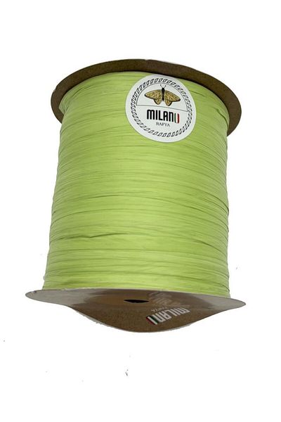 Nusrat Bilişim Milan Raffia Neon Green Bag Accessory - 100 g (No:27)