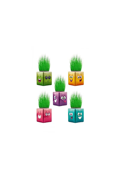 Shop58 Çim Adam Kare Emoji Şekilli Çim Adam Surat 4 Adet Okul Öncesi Sonrası Etkinlik