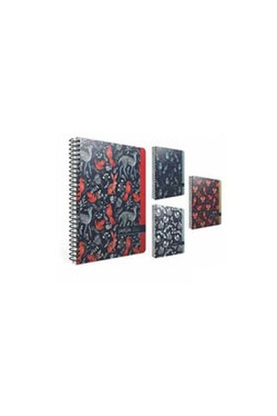 Gıpta North Star Sp Hard Kpk Def 17x24 120 Yp Square (1 PC)