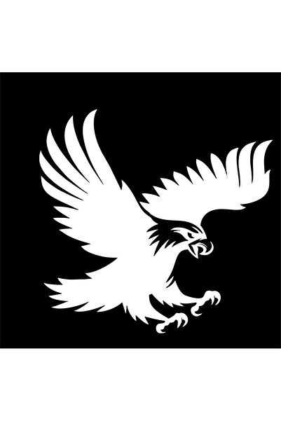 Birim Matbaa AVLANAN KARTAL OTO STİCKER(29X30CM  )