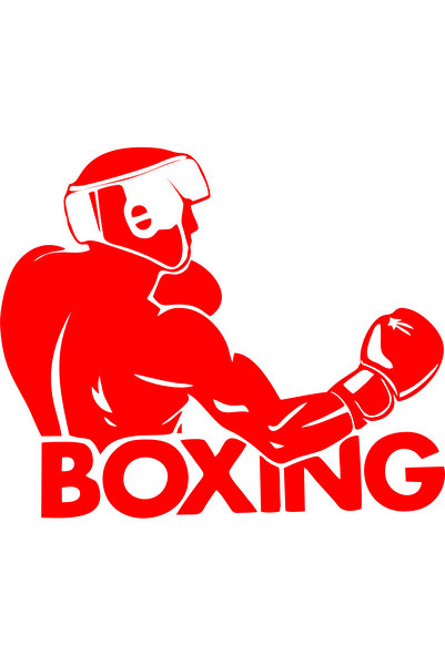 Birim Matbaa Boxing 2 Auto Sticker(30X29Cm)
