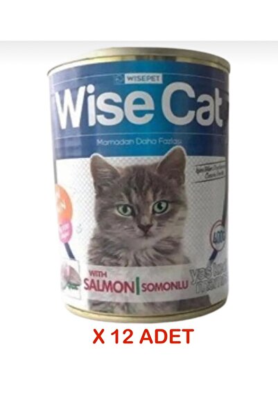 Wise Cat WİSE CAT SOMONLU YETİŞKİN KEDİ 400 GR X 12 ADET - Petshopundan