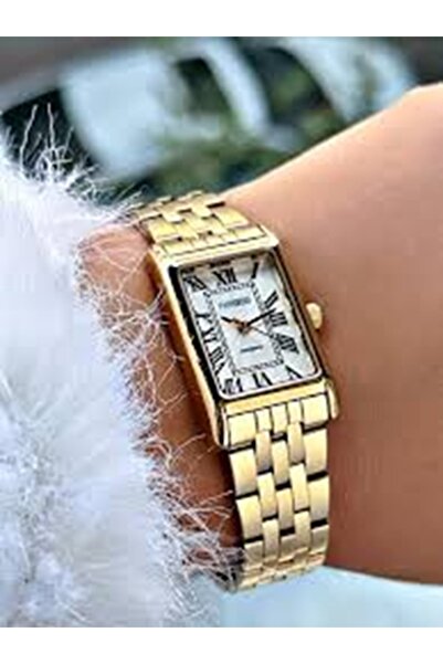 Ferrucci FERRUCCİ FC 03373M.04 ساعة يد نسائية بحبل فولاذي