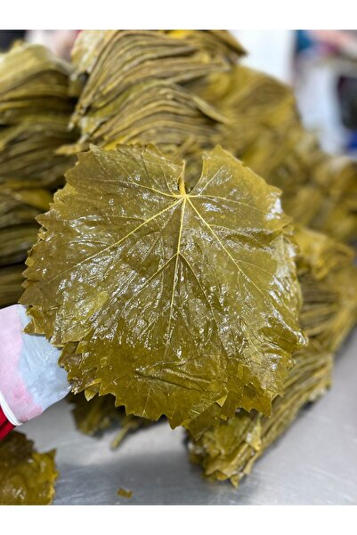 HOSANLI Tokat Erbaa Damarsız Ince Asma Yaprağı 1.5 Kg Salamura Yaprak Taze Mahsül