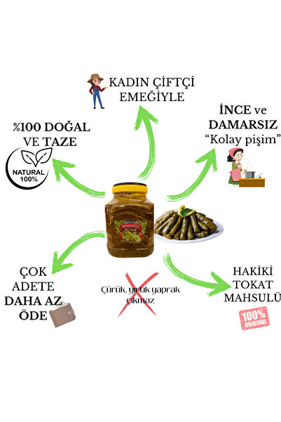 HOSANLI Tokat Erbaa Damarsız Ince Asma Yaprağı 3 Kg Salamura Yaprak Taze Mahsül