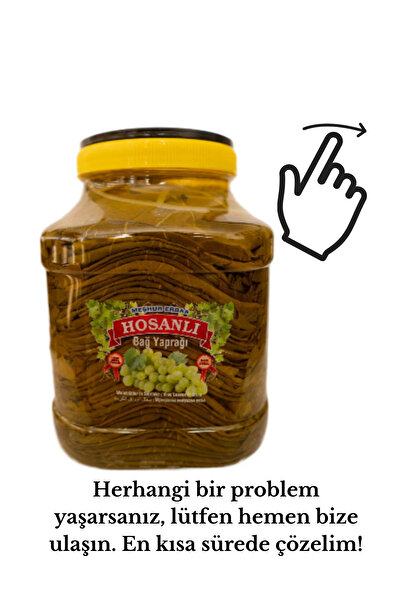 HOSANLI Tokat Erbaa Damarsız Ince Asma Yaprağı 3 Kg Salamura Yaprak Taze Mahsül