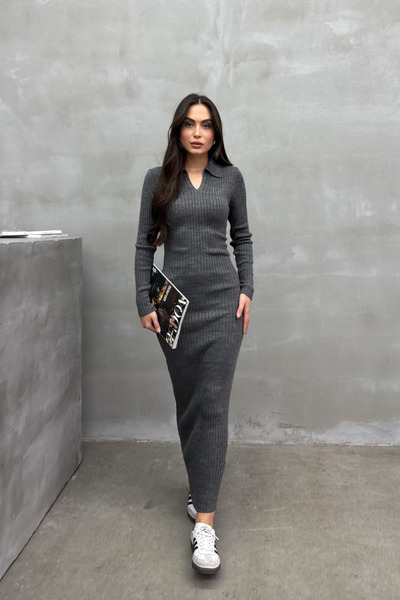 msm fashion Rochie de dama Tricoturi lungi Iarna Guler Polo Rochie Creion Lycra