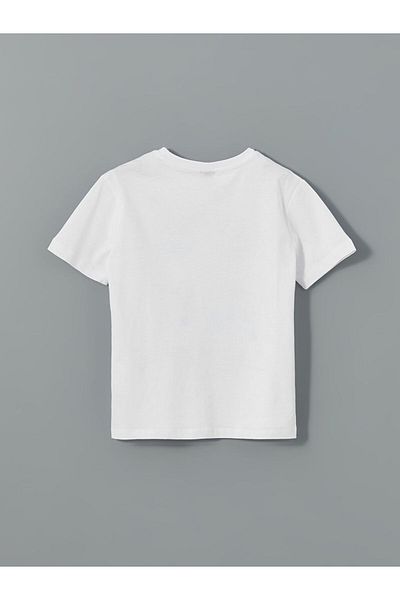 LC Waikiki Crew Neck Boy's T-Shirt