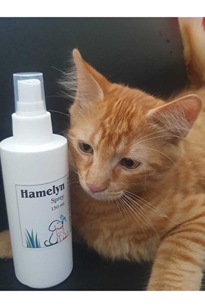 mastervet Hamelyn Sprey 150 Ml-istanbul Ilaç