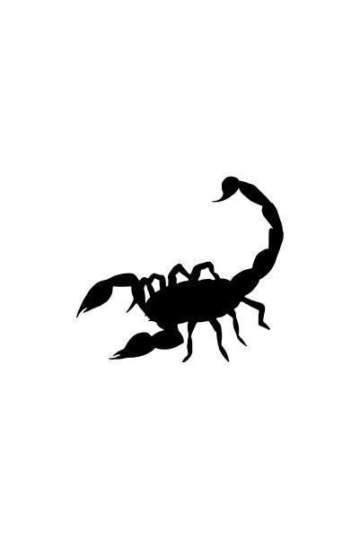 rez Scorpion Sticker 30 X 27 cm