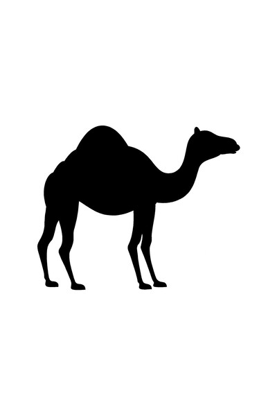 Generic Brand ملصق الجمل 20×16 سم