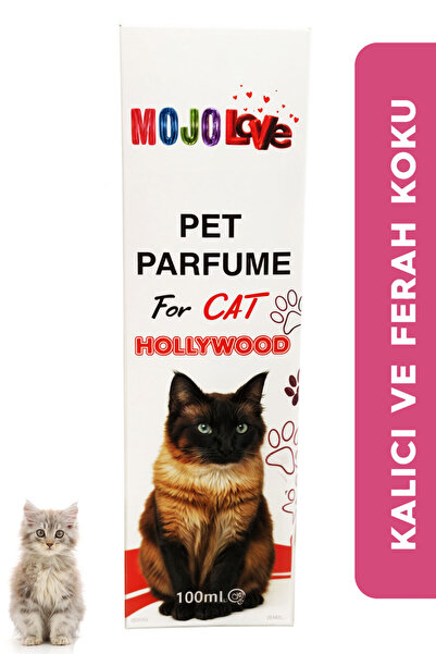 MOJO Love Kedi Parfümü Hollwood
