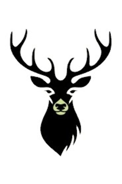 zeeglobal ملصق ديكور حائط غزال 1 أرسلان 45 × 45 سم