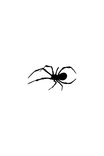Generic Brand Spider Wall Decor Quality Quality Sticker 40 X 20 cm