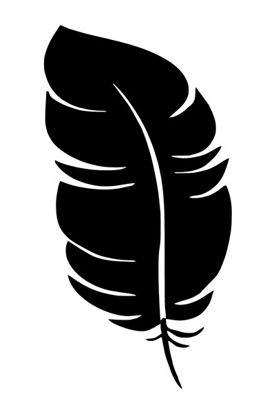 Generic Brand Feather Wall Decor Quality Quality Sticker 40 X 80 cm