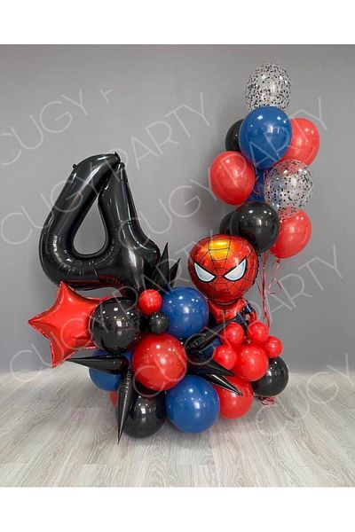 CUGY Spiderman Concept 4 Year Old Mini Birthday Party Set