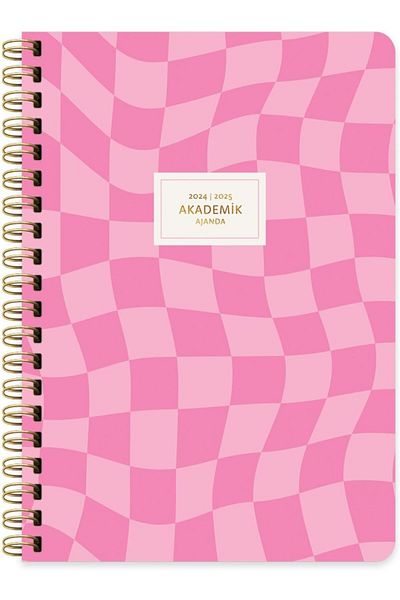 STOREMAX Lvnshop Color 17 * 24 Spiral Academic Agenda - Dama Lv 224120