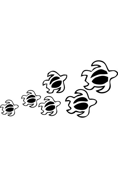 Birim Matbaa Turtles Auto Sticker(22X911Cm)