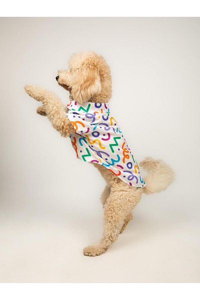 Buf & Buf Color Splash - Summer Cat Dog Shirt Small Medium Breed Custom Printed