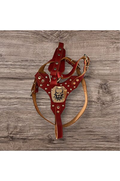 Zirve Tasma %100 Hakiki Deri Gladyatör Köpek Tasması