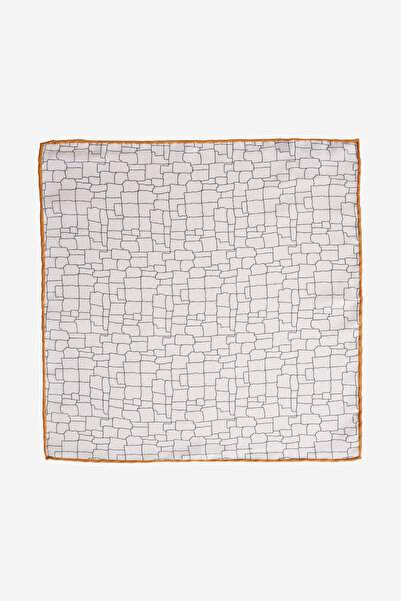 ALTINYILDIZ CLASSICS Erkek Ekru-Bej Desenli Mendil