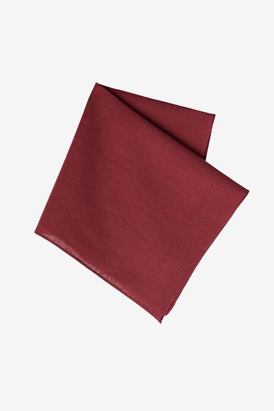 ALTINYILDIZ CLASSICS Batic de bumbac pentru bărbați, bordou, fără desen