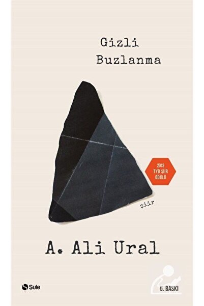 Şule Yayınları Gizli Buzlanma