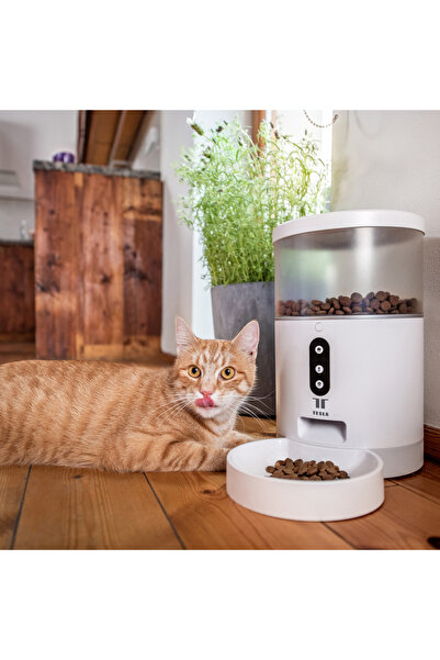 TESLA Akıllı Evcil Hayvan Besleyici