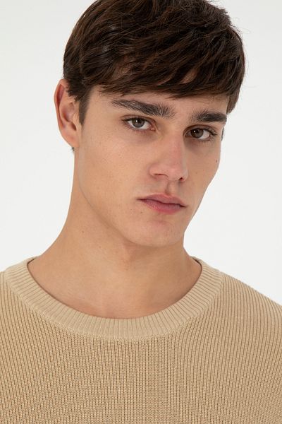 U.S. Polo Assn. Men's Sand Basic Sweater 50298267 -Vr085