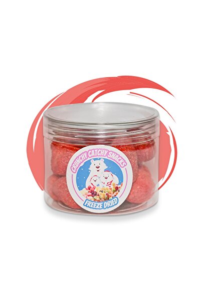Crunchy Catchy Snacks الفراولة المجففة بالتجميد 40 جرام