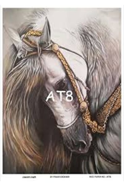 Rnsssanatevi Pirinç Dekopaj Kağıdı