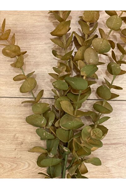 Dekordan House Yapay 1. Kalite Okaliptus Dalı