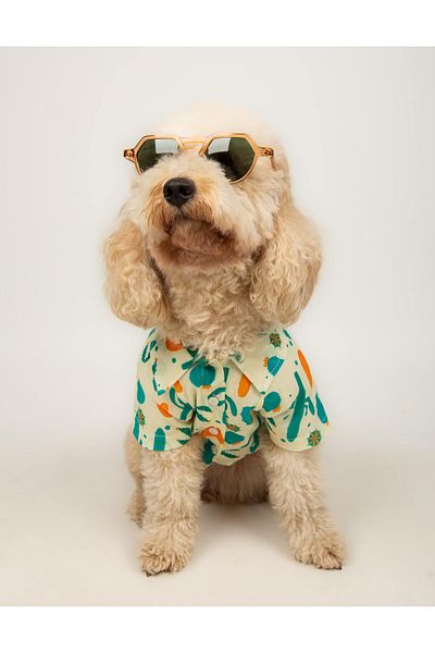 Buf & Buf Cactus Paw - Summer Cat Dog Shirt Small Medium Breed Custom Printed