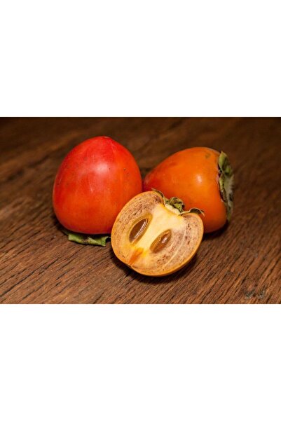 Tunç Botanik ÇİKOLATALI HARBİYE HURMA FİDANI (KAKAOLU)