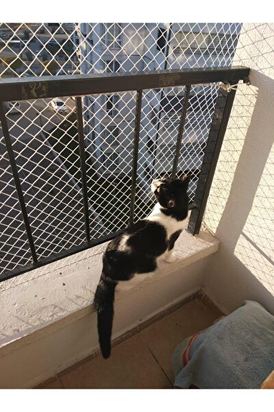 KONAK FİLE Kedi Filesi, Balkon Koruma Filesi (3metre*15metre)