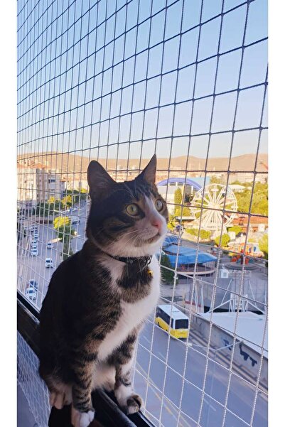 KONAK FİLE Kedi Filesi, Balkon Koruma Filesi (2metre*5metre)