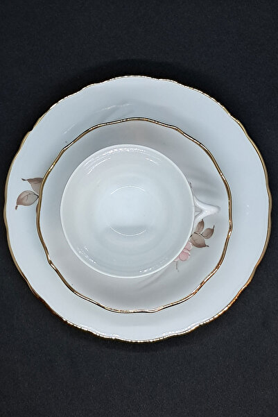 Bavaria German Hand Painting Antique Porcelain Tea Cup 3 Pieces 170 ml