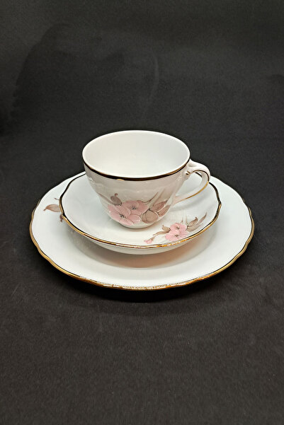 Bavaria German Hand Painting Antique Porcelain Tea Cup 3 Pieces 170 ml