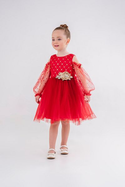 Eray Kids Girl's Evening Dress, Glittery Flower Detail, Off-The-Shoulder Tulle Sleeves, Age 4-7