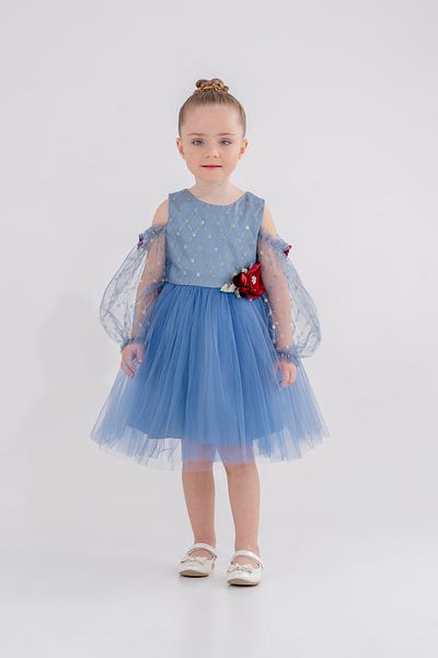 Eray Kids Rochie de seara pentru fete Rochie cu detaliu flori argintii Maneci din tul cu umeri 4-7 ani