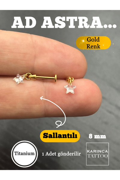 Karınca Piercing Minimal Yıldız Sallantılı Zirkon Taşlı Titanyum Tragus Piercing Flat Conch Hidden Helix Kulak Küpe